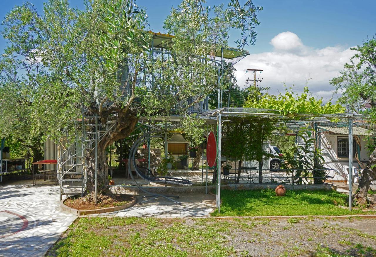 Veni Olive House Villa Kalamata Dış mekan fotoğraf