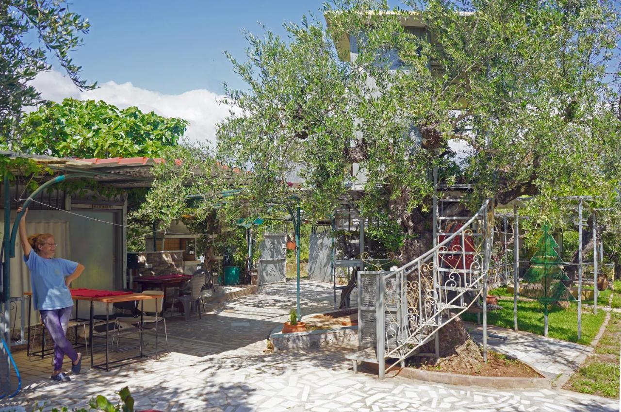 Veni Olive House Villa Kalamata Dış mekan fotoğraf