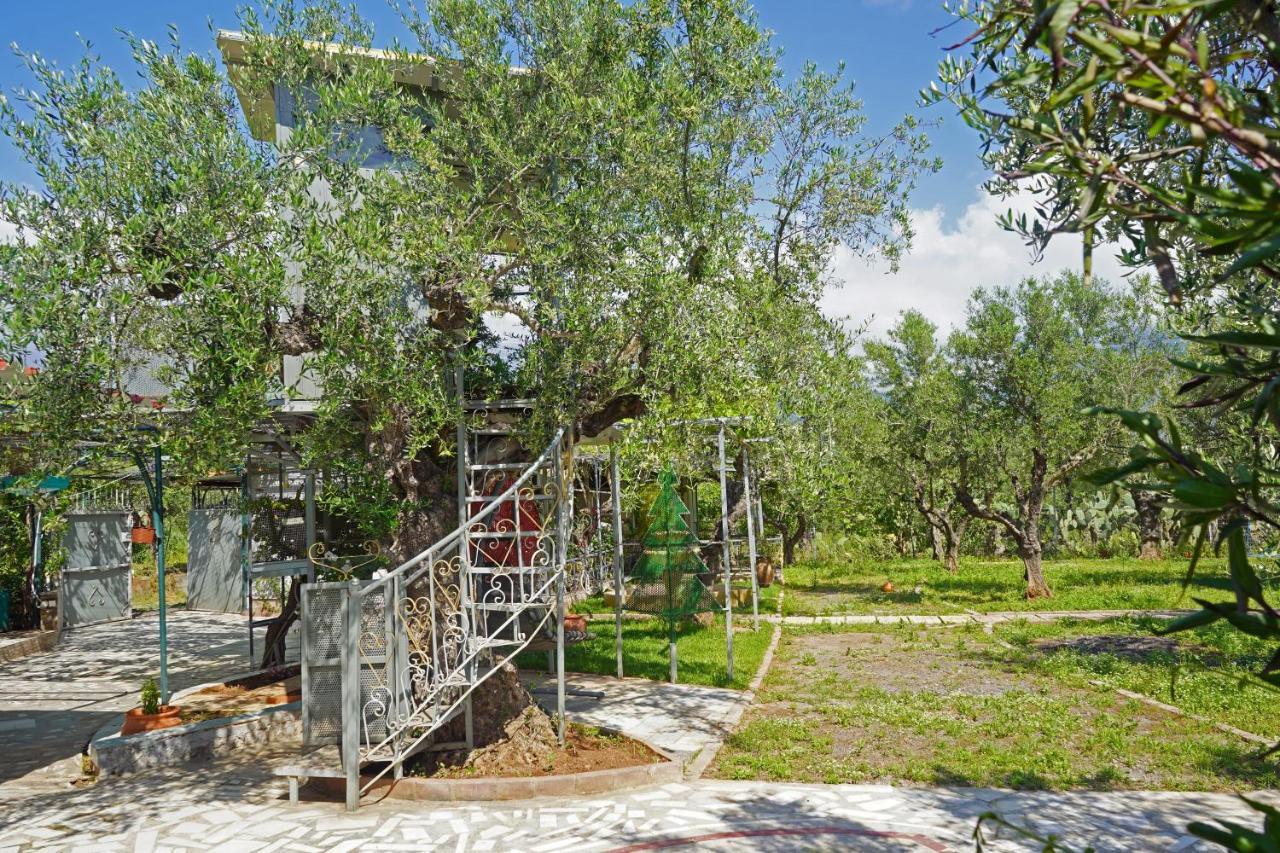 Veni Olive House Villa Kalamata Dış mekan fotoğraf